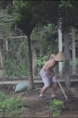 Mat goc