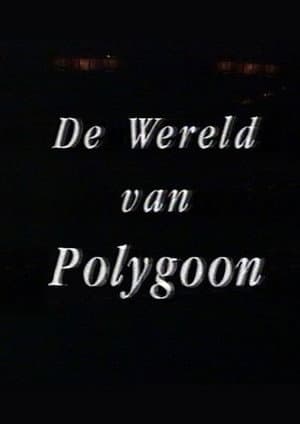The World of Polygoon