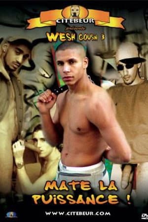 Wesh Cousin 3 : Mate la puissance !