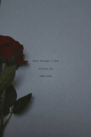 Rose Through A Lens