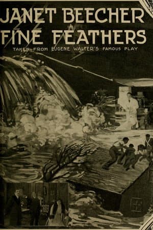 Fine Feathers