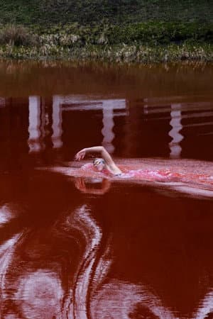 Swimming Through