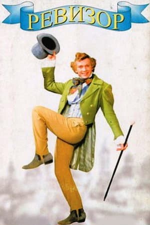 Revizorro