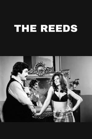 The Reeds