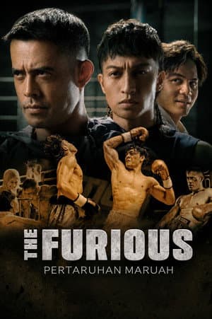 The Furious