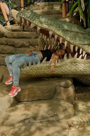 Meteorite