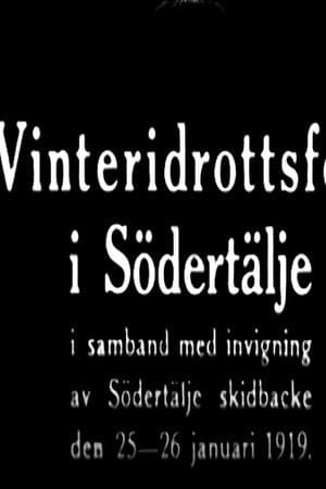 Winter Sports Party in Södertälje