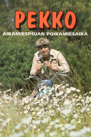 Pekko aikamiespojan poikamiesaika
