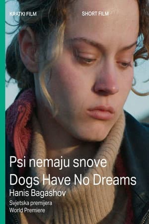 Dogs Have No Dreams