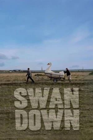 Swandown