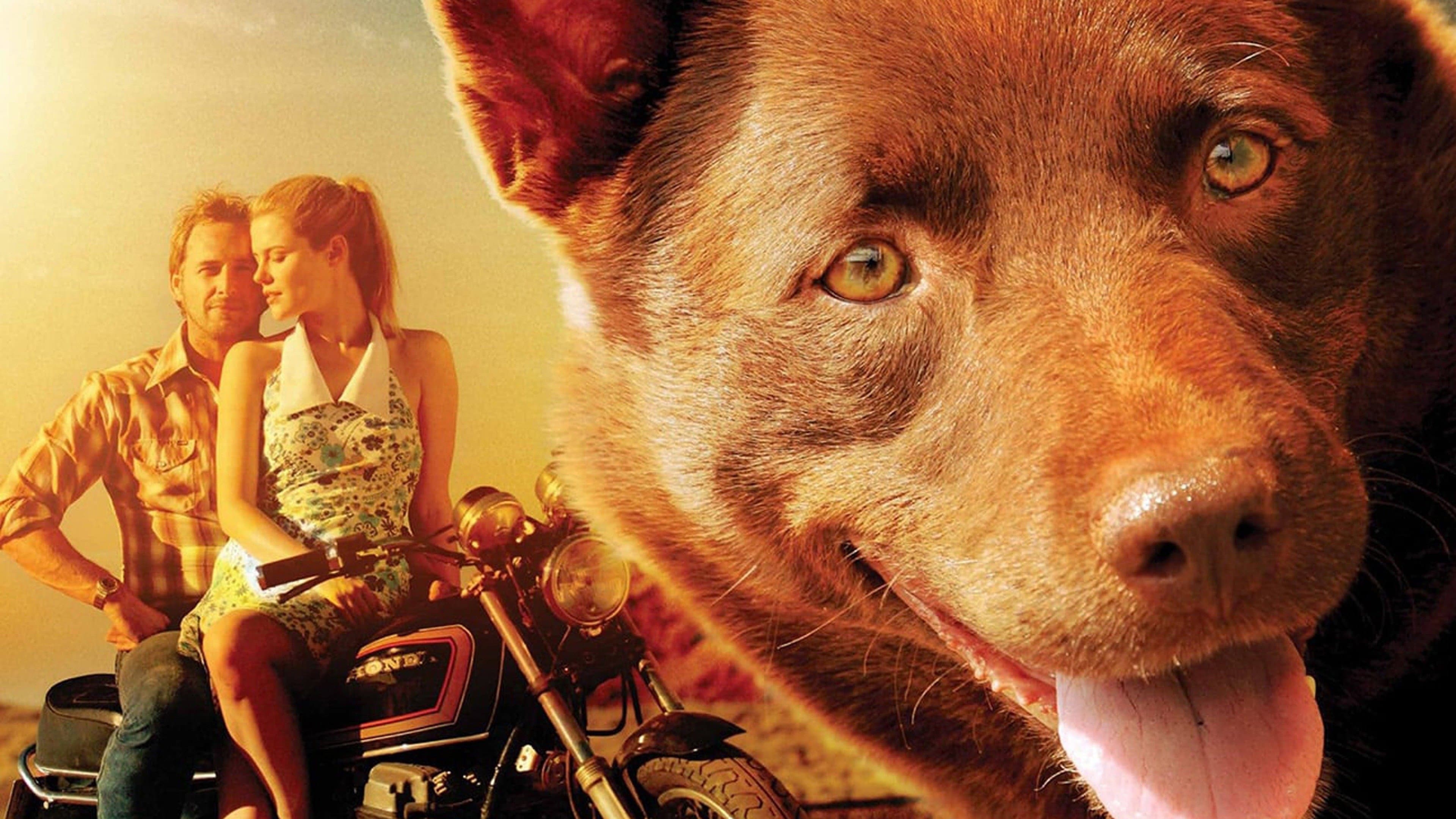 Red Dog