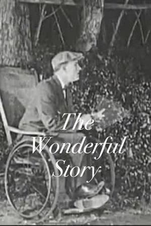 The Wonderful Story