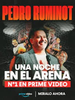 Pedro Ruminot: Una noche en el arena